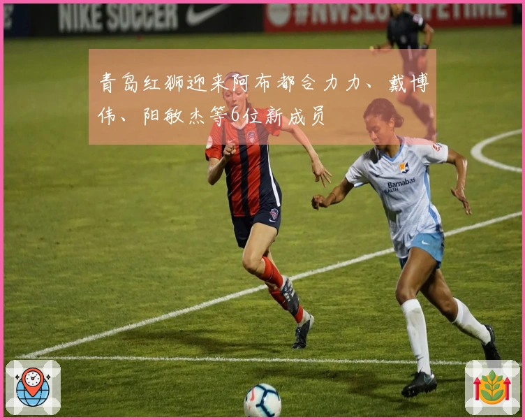 青岛红狮迎来阿布都合力力、戴博伟、阳敏杰等6位新成员
