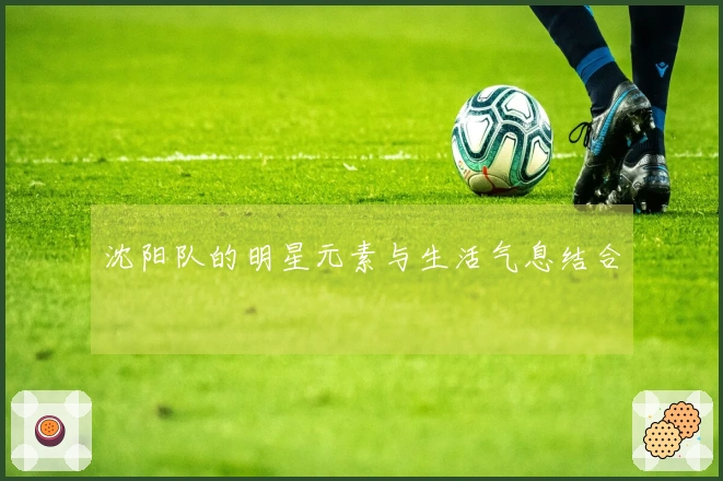 沈阳队的明星元素与生活气息结合